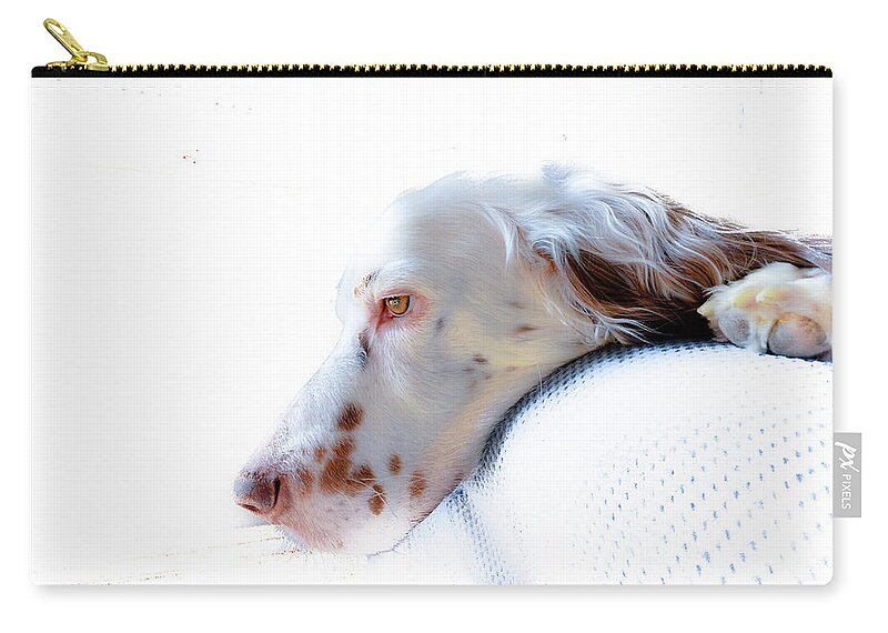 English Setter Carry-all Pouch featuring the photograph Athos P by Jeff Cooper