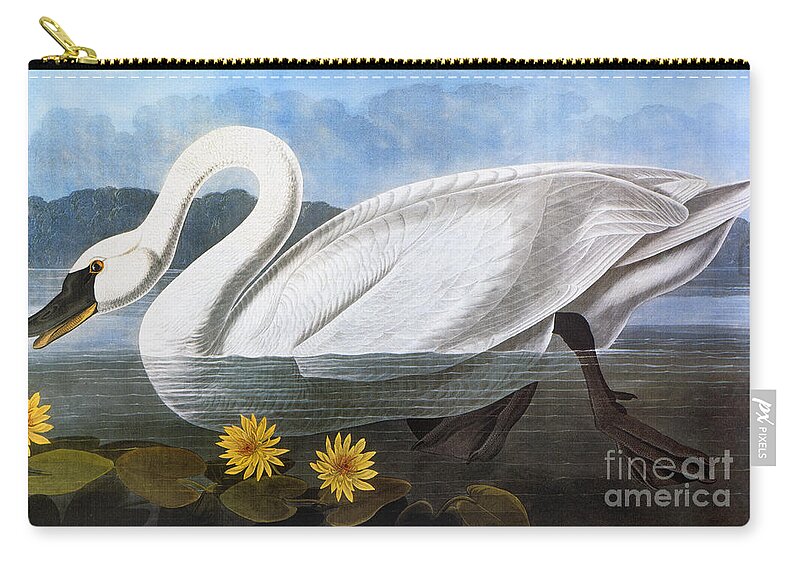 1827 Zip Pouch featuring the photograph Audubon: Swan, 1827 by Granger