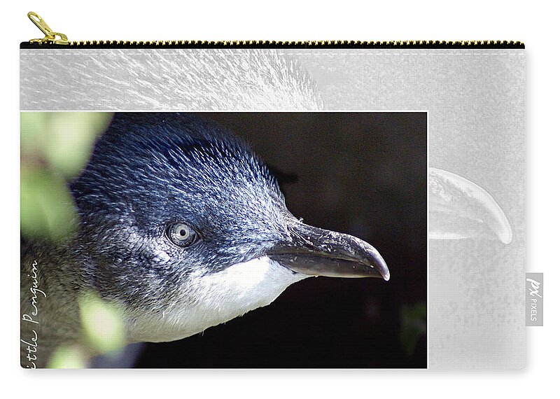 Animal Zip Pouch featuring the photograph Australian Wildlife - Little Penguin by Holly Kempe
