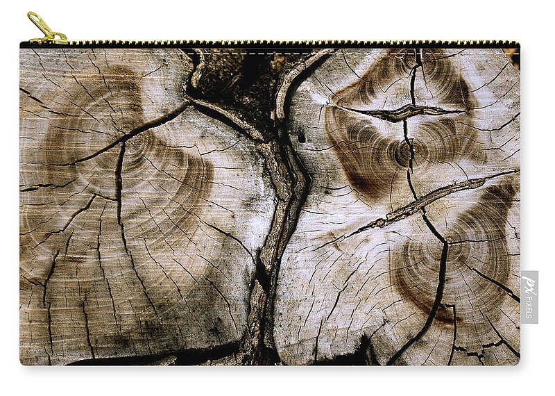Tree Zip Pouch featuring the photograph Autobiography by Melisa Elliott