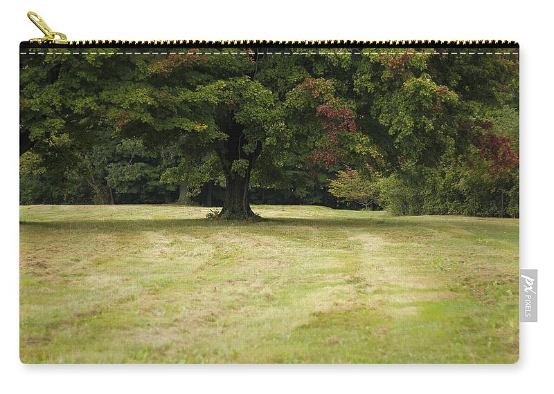 Fall Zip Pouch featuring the photograph Autumn Begins Maple Tree by Valerie Collins