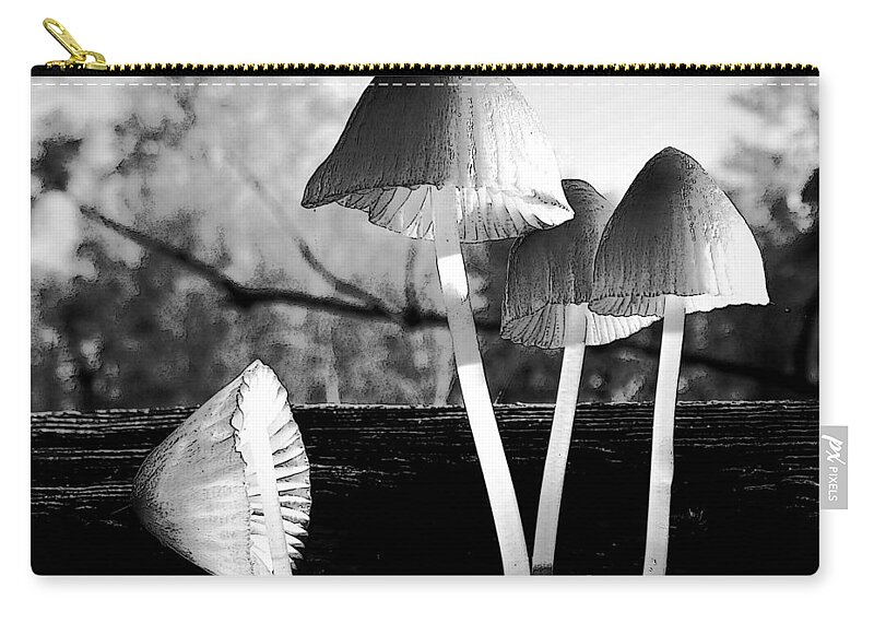 Bw Mushroom Still Life Zip Pouch featuring the photograph Autumn Belles by I'ina Van Lawick