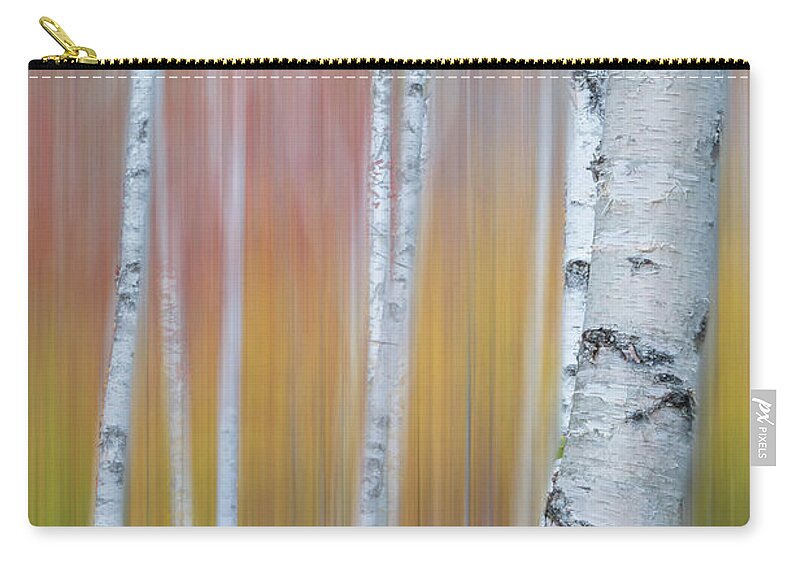 Abstract Zip Pouch featuring the photograph Autumn Birch Impressions by TS Photo