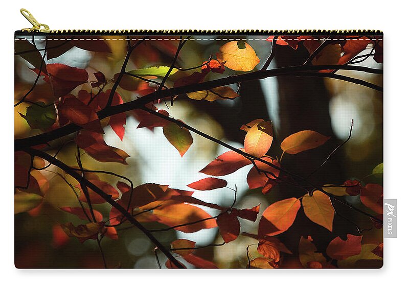 Fall Leaves Zip Pouch featuring the photograph Autumn Changing by Mike Eingle