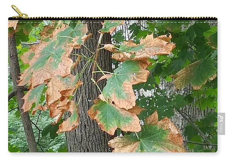 Leaves Zip Pouch featuring the photograph Autumn Colors 1 by Rob Hans