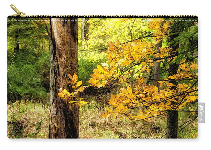 Autumn Zip Pouch featuring the photograph Autumn Colors 6 by Timothy Hacker