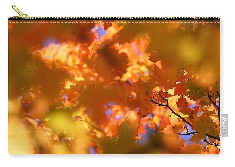 Landscape Carry-all Pouch featuring the photograph Autumn Colors and Leaves by Brett Pelletier