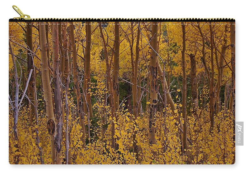Aspen Trees Zip Pouch featuring the photograph Autumn Colors by Christopher James