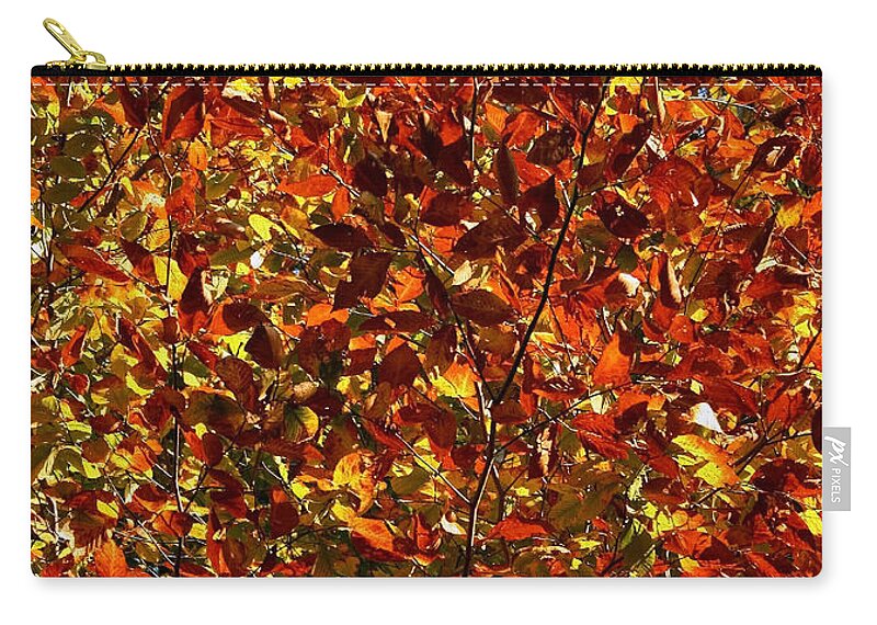 Color Zip Pouch featuring the photograph Autumn Colors by Karen Harrison Brown