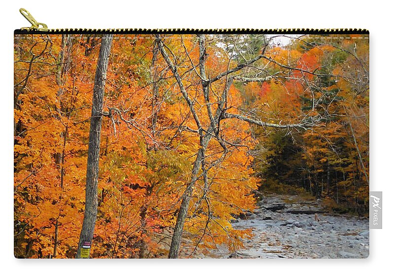 Autumn Creek Zip Pouch featuring the painting Autumn creek 11 by Jeelan Clark