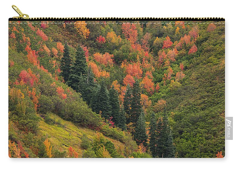 Autumn Zip Pouch featuring the photograph Autumn by Dustin LeFevre