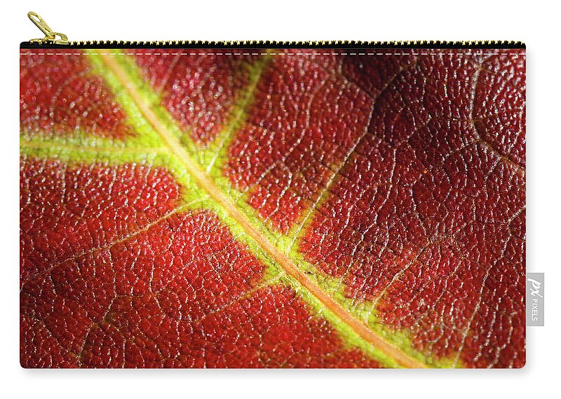 Fall Zip Pouch featuring the photograph Autumn Fall Leaf Close Up by Rick Deacon