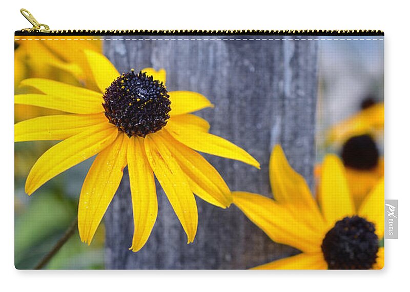 Autumn; Flowers; Flower; Colorful; Colors; Wood; Yellow; Nature; Natural; Fall; Bright; Vibrant; Still; Cheerful; Sabine Jacobs; Zip Pouch featuring the photograph Autumn Flowers Yellow by Sabine Jacobs