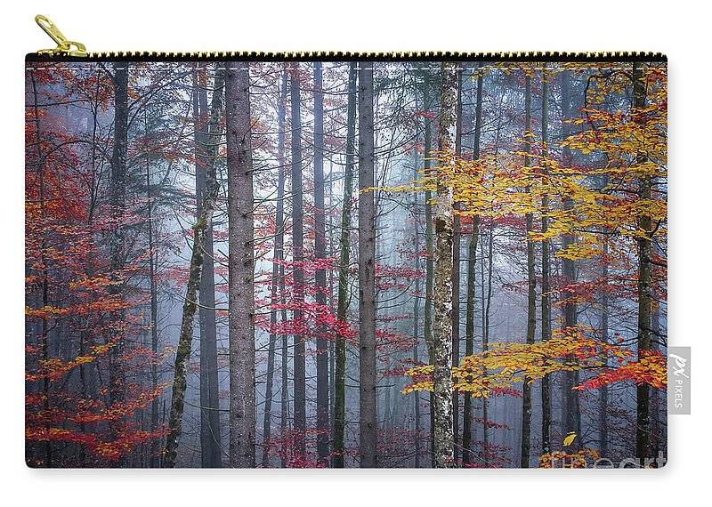 Forest Zip Pouch featuring the photograph Autumn forest in fog by Elena Elisseeva