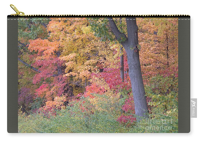 Autumn Zip Pouch featuring the photograph Autumn Impression by Ann Horn