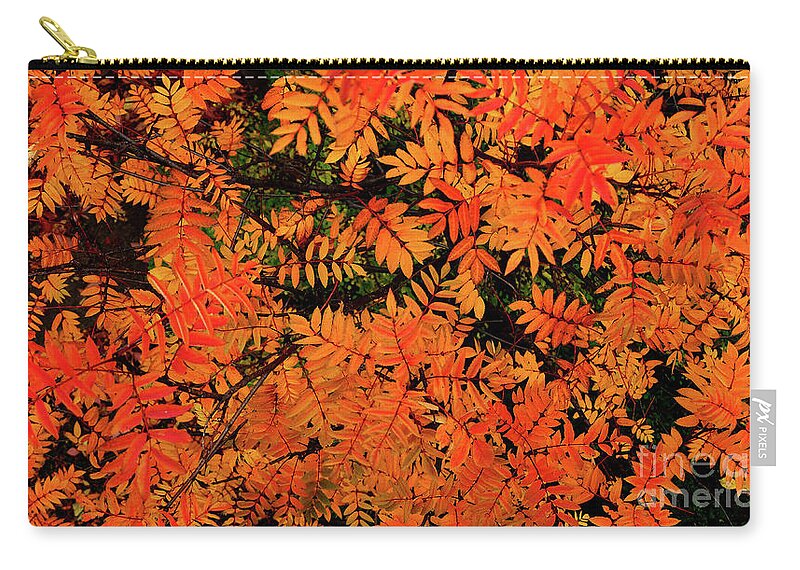  Carry-all Pouch featuring the digital art Autumn in Maple Creek by Darcy Dietrich