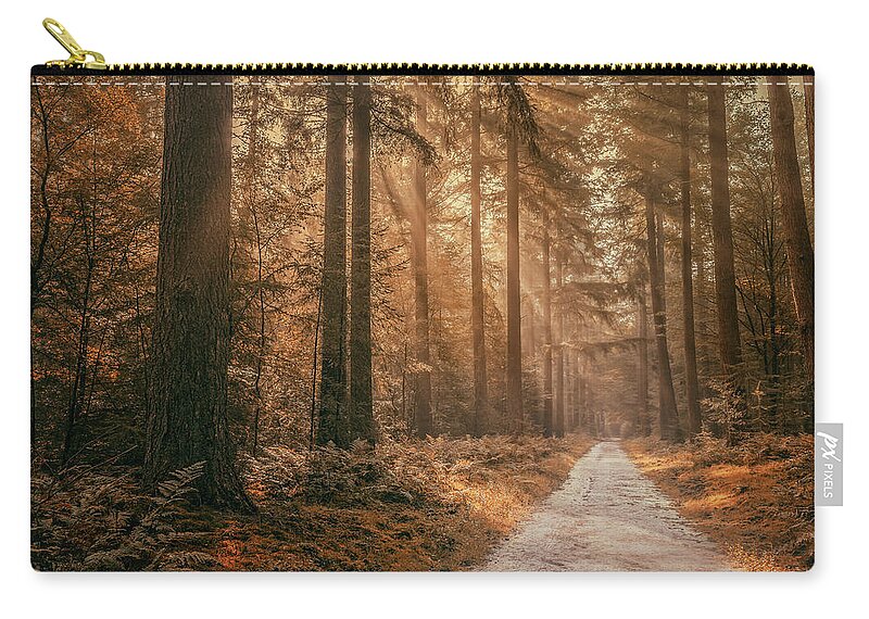 Autumn Zip Pouch featuring the photograph Autumn in the forest by Tim Abeln