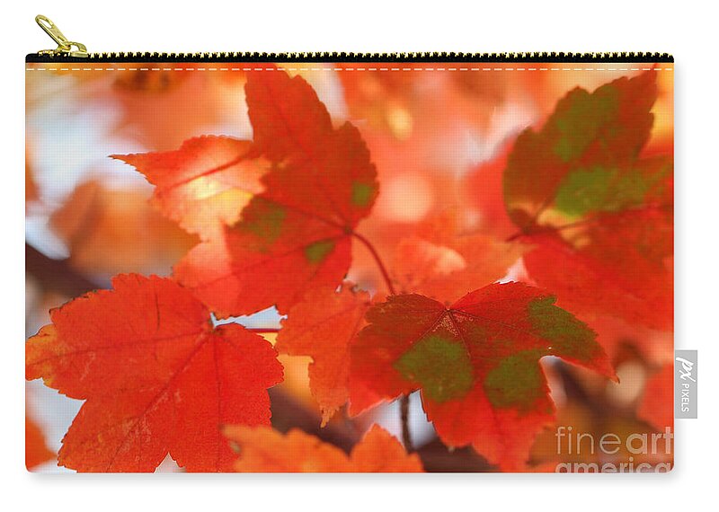 Maple Zip Pouch featuring the photograph Autumn Joy by Karen Adams