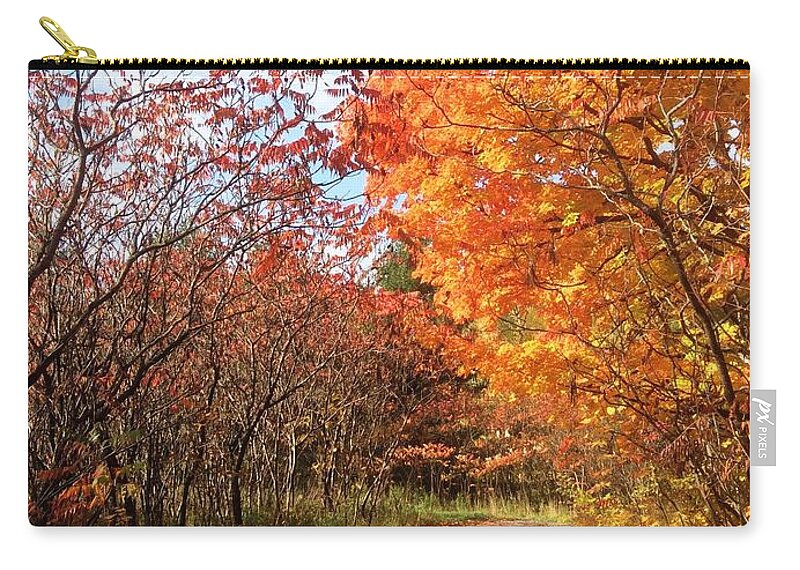 Fall Zip Pouch featuring the photograph Autumn Lane by Pat Purdy