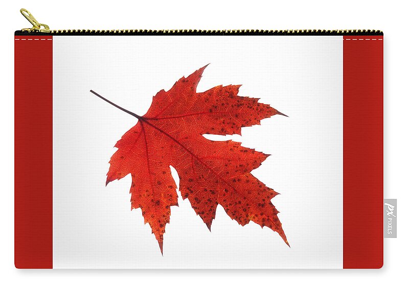 Single Autumn Leaf Zip Pouch featuring the photograph Autumn Leaf 2 by Gill Billington