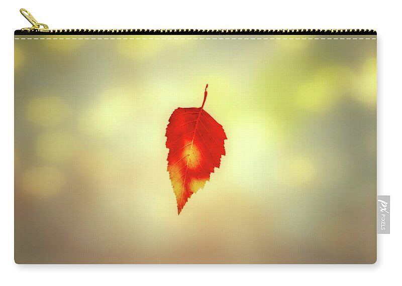Leaves Zip Pouch featuring the photograph Autumn Leaf by Bob Orsillo
