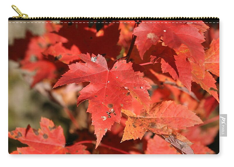 Autumn Zip Pouch featuring the photograph Autumn Leaves 1 by George Jones