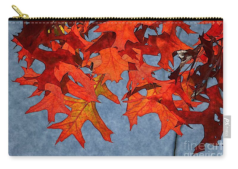 Autumn Zip Pouch featuring the photograph Autumn Leaves 19 by Jean Bernard Roussilhe