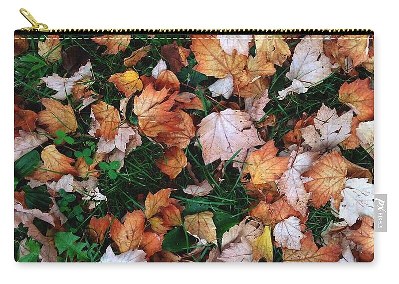 Leaves Zip Pouch featuring the photograph Autumn Leaves by Annie Walczyk