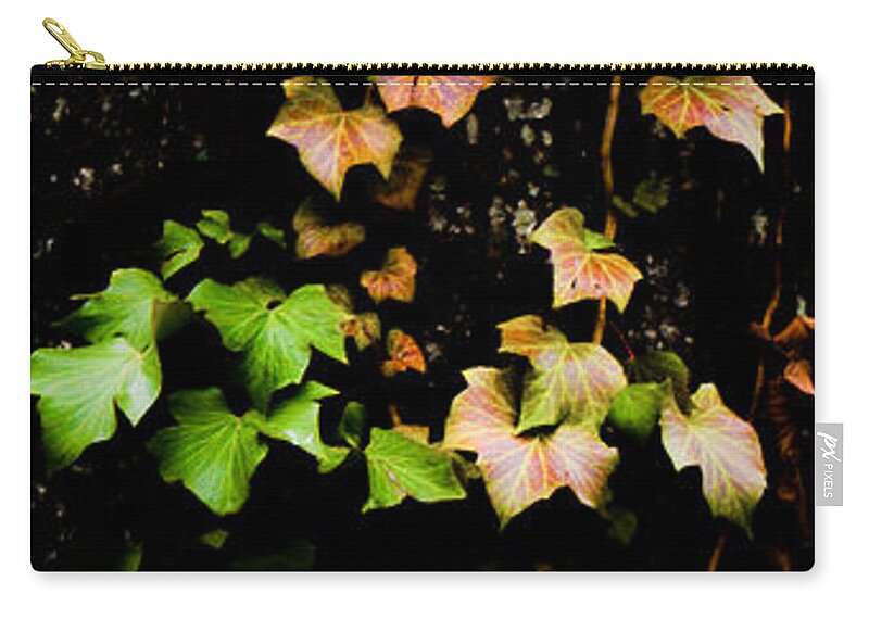 Autumn Zip Pouch featuring the photograph Autumn Leaves by Parker Cunningham