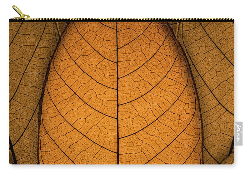 Autumn Zip Pouch featuring the photograph Autumn Leaves by Paul Wear