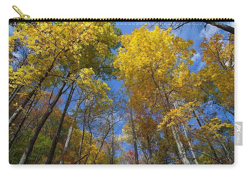 Fall Foliage Zip Pouch featuring the photograph Autumn Majesty by Kevin Craft