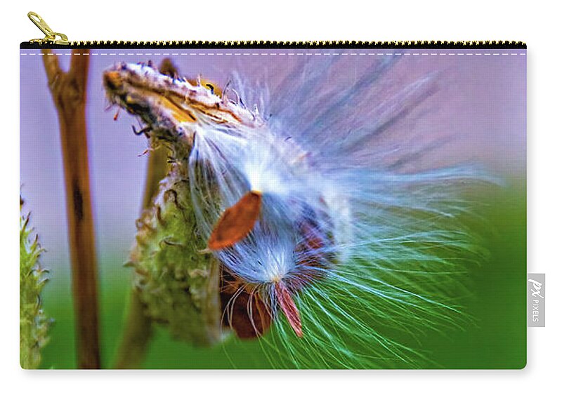 Steve Harrington Zip Pouch featuring the photograph Autumn Milkweed 15 by Steve Harrington