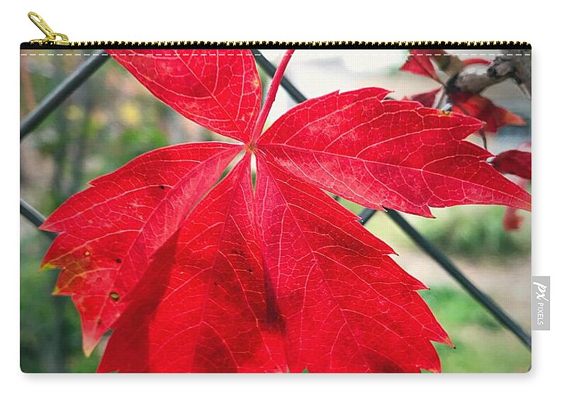 Autumn Zip Pouch featuring the photograph Autumn Red by Brad Hodges