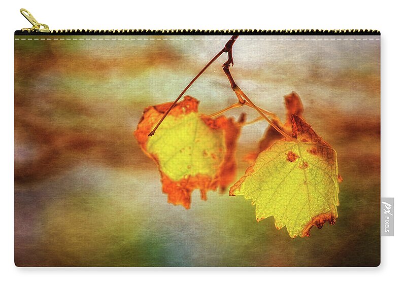 Mad About Wa Zip Pouch featuring the photograph Autumn Vines, Mindarie, Perth by Dave Catley