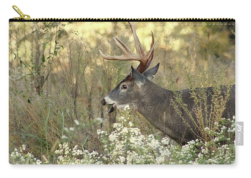 Whitetail Zip Pouch featuring the photograph Autumn Whitetail in the Smokies by TnBackroadsPhotos