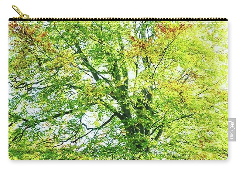  Zip Pouch featuring the photograph Autumns Arrival by Aleck Cartwright