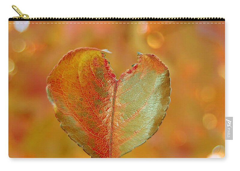 Heart Zip Pouch featuring the photograph Autumn's Golden Splendor by Debra Thompson