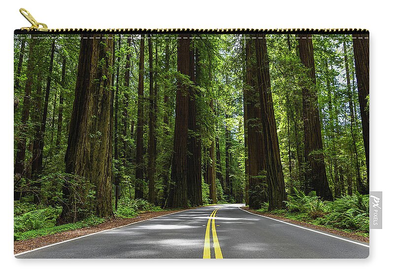 Landscape Zip Pouch featuring the photograph Avenue of Giants by Scott Cunningham