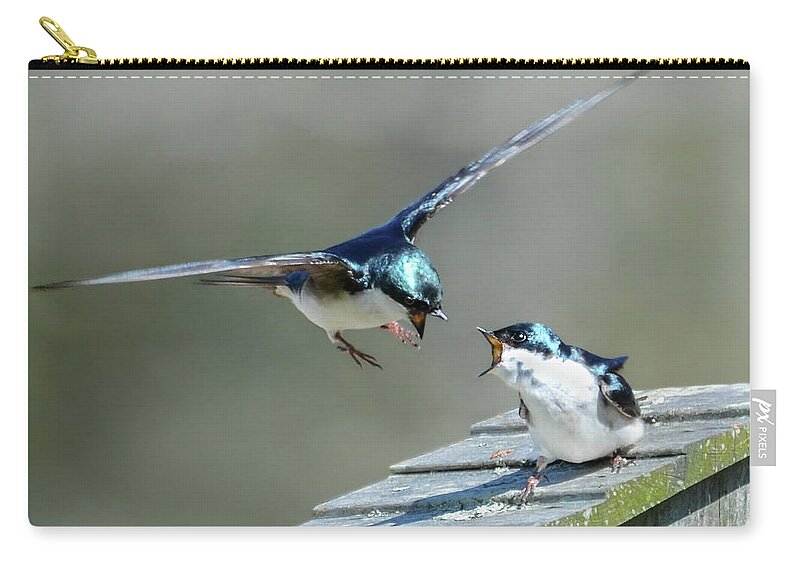 Tree Swallow Zip Pouch featuring the photograph Avian Air Traffic Control by Amy Porter