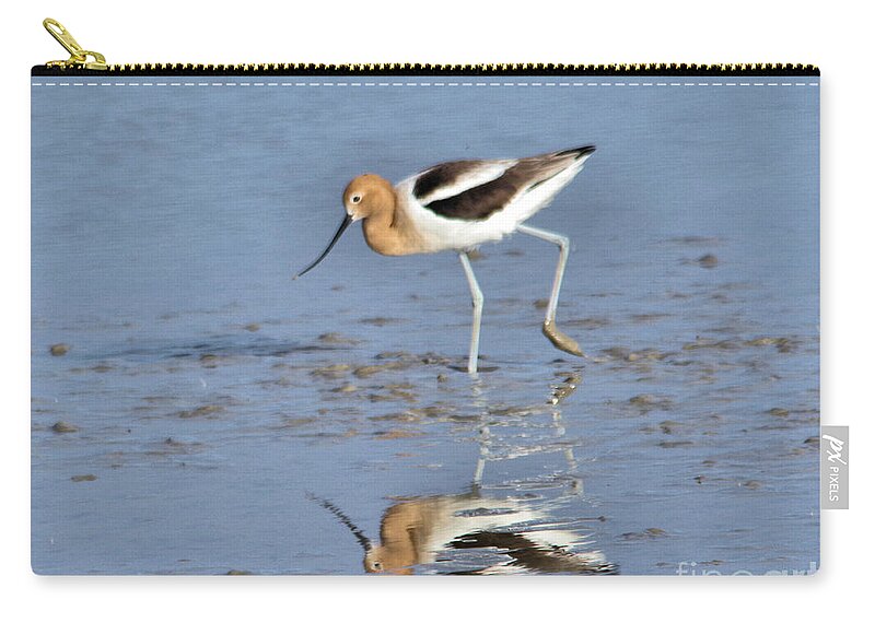  Bird Zip Pouch featuring the photograph Avocet and reflection by Jeff Swan