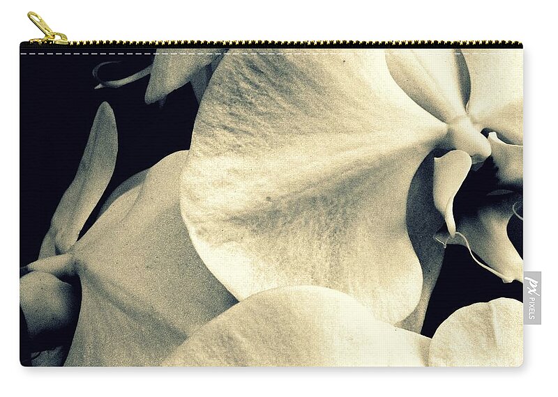 Orchid Zip Pouch featuring the photograph Awakening by Anne McDonald