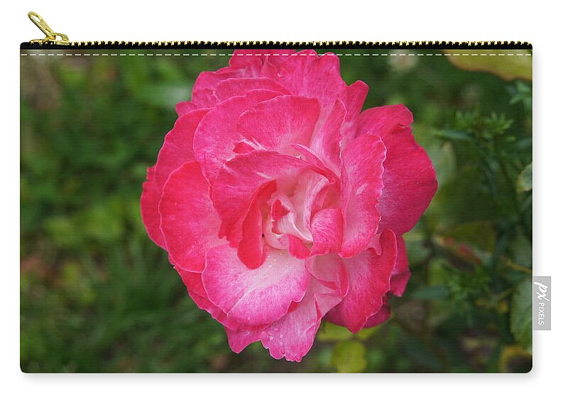 Awakening Zip Pouch featuring the photograph Awakening. Red and white. by Elena Perelman