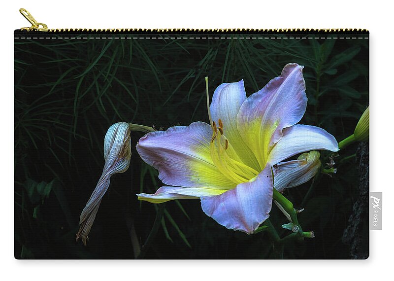 Hayward Garden Putney Vermont Zip Pouch featuring the photograph Awesome Daylily by Tom Singleton