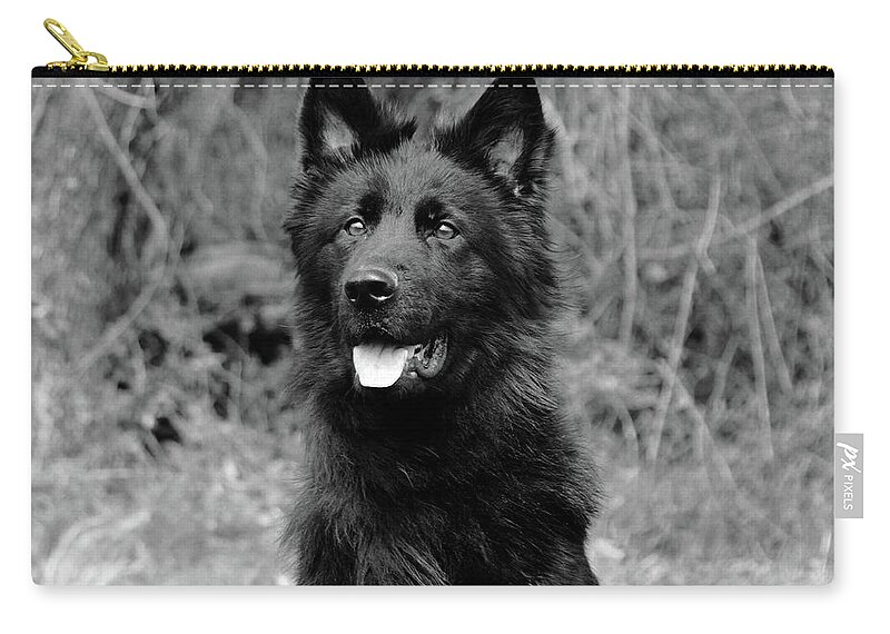 German Shepherd Zip Pouch featuring the photograph Aziza #1 by Sandy Keeton