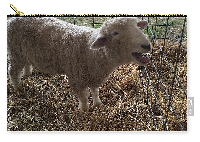 Sheep Zip Pouch featuring the photograph Baa Baa Sheep - Country Fair by Ellen Levinson
