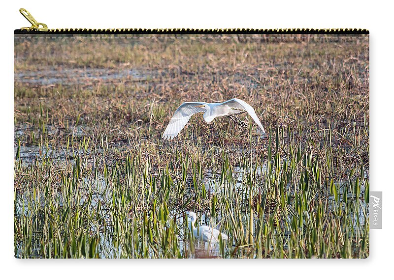Florida Zip Pouch featuring the photograph Babcock Wilderness Ranch - Great Egret over the Marsh by Ronald Reid