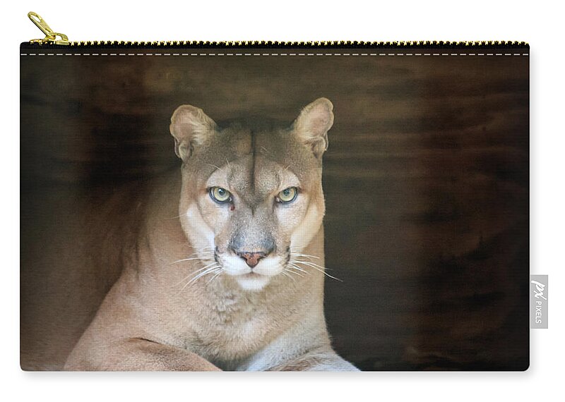 Florida Zip Pouch featuring the photograph Babcock Wilderness Ranch - Portrait of Oceola the Panther by Ronald Reid