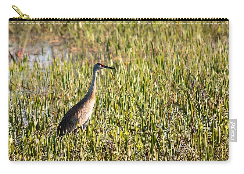 Florida Zip Pouch featuring the photograph Babcock Wilderness Ranch - Sandhill Crane by Ronald Reid