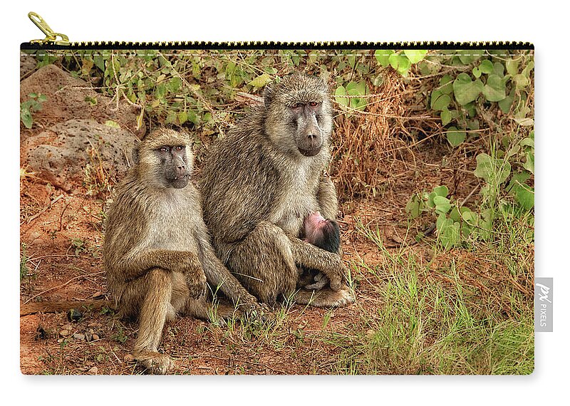 Africa Zip Pouch featuring the photograph Baboon Family in Kenya by Mitchell R Grosky