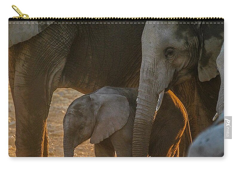 Elephant Zip Pouch featuring the photograph Baby and siblings by Alistair Lyne
